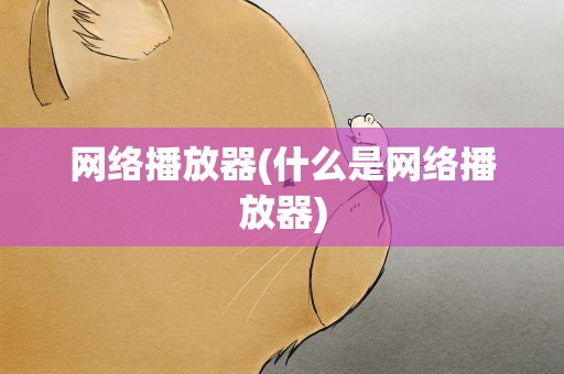 网络播放器(什么是网络播放器)