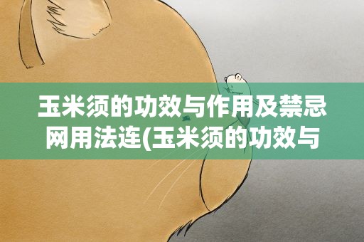 玉米须的功效与作用及禁忌网用法连(玉米须的功效与作用及禁忌)