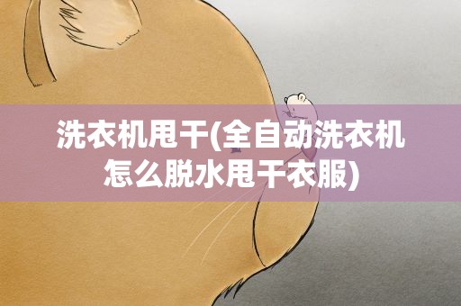 洗衣机甩干(全自动洗衣机怎么脱水甩干衣服)