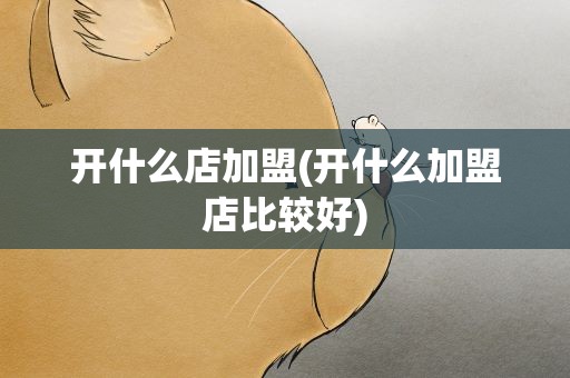 开什么店加盟(开什么加盟店比较好)