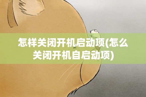 怎样关闭开机启动项(怎么关闭开机自启动项)