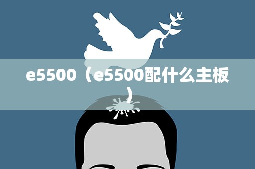 e5500（e5500配什么主板）