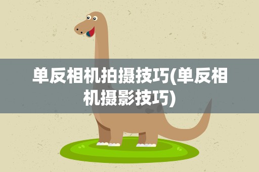 单反相机拍摄技巧(单反相机摄影技巧)