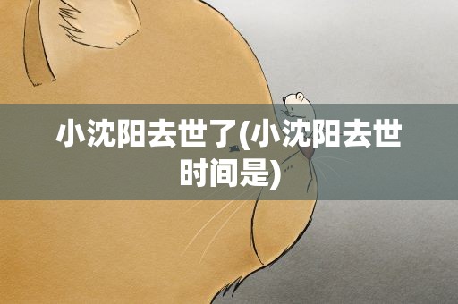 小沈阳去世了(小沈阳去世时间是)