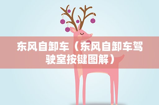 东风自卸车（东风自卸车驾驶室按键图解）