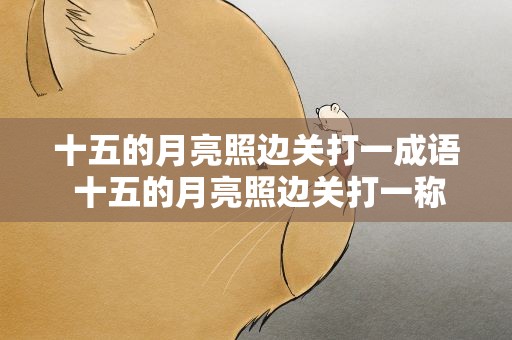 十五的月亮照边关打一成语 十五的月亮照边关打一称谓
