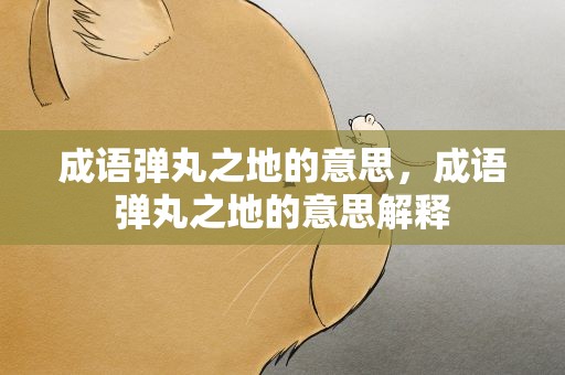 成语弹丸之地的意思，成语弹丸之地的意思解释