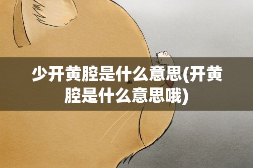 少开黄腔是什么意思(开黄腔是什么意思哦)