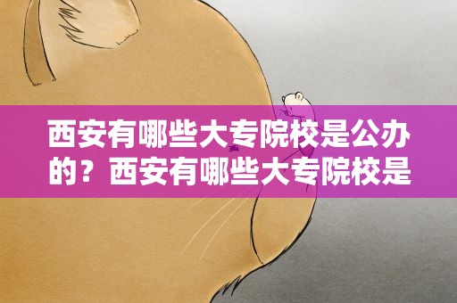 西安有哪些大专院校是公办的？西安有哪些大专院校是公办的学校