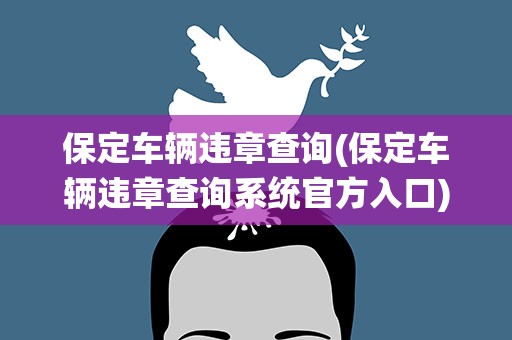 保定车辆违章查询(保定车辆违章查询系统官方入口)