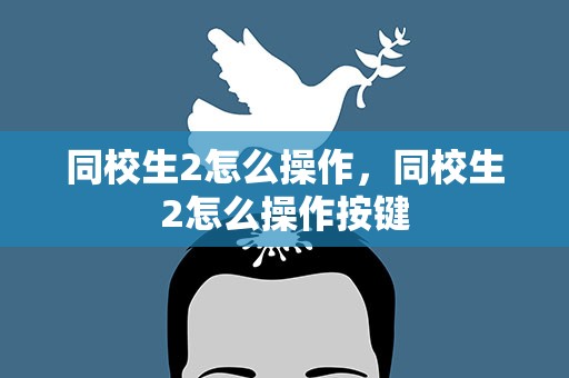 同校生2怎么操作，同校生2怎么操作按键