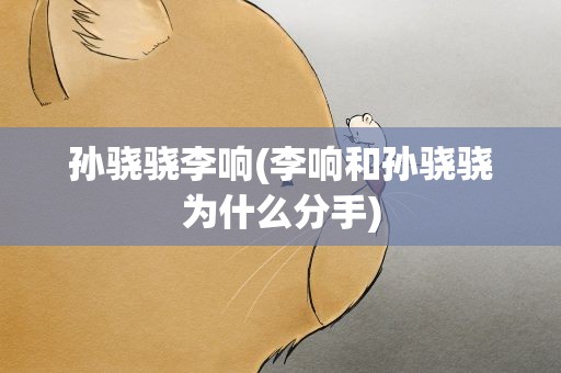 孙骁骁李响(李响和孙骁骁为什么分手)