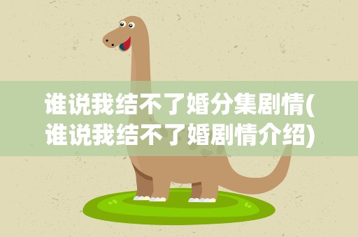 谁说我结不了婚分集剧情(谁说我结不了婚剧情介绍)