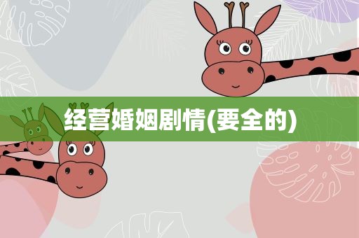 经营婚姻剧情(要全的)