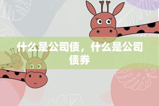 什么是公司债，什么是公司债券