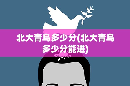 北大青鸟多少分(北大青鸟多少分能进)