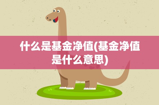 什么是基金净值(基金净值是什么意思)