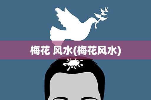 梅花 风水(梅花风水)