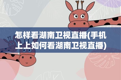 怎样看湖南卫视直播(手机上上如何看湖南卫视直播)