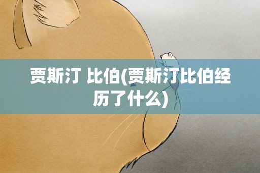 贾斯汀 比伯(贾斯汀比伯经历了什么)