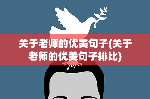 关于老师的优美句子(关于老师的优美句子排比)
