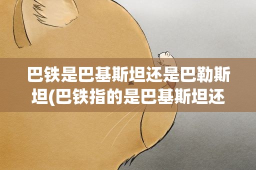 巴铁是巴基斯坦还是巴勒斯坦(巴铁指的是巴基斯坦还是巴勒斯坦)