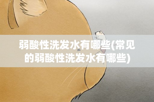 弱酸性洗发水有哪些(常见的弱酸性洗发水有哪些)