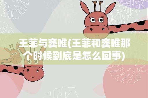 王菲与窦唯(王菲和窦唯那个时候到底是怎么回事)