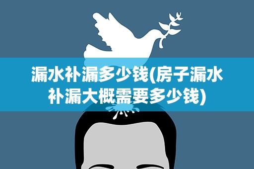 漏水补漏多少钱(房子漏水补漏大概需要多少钱)