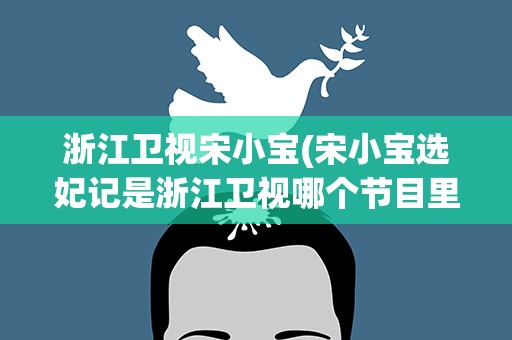 浙江卫视宋小宝(宋小宝选妃记是浙江卫视哪个节目里的)