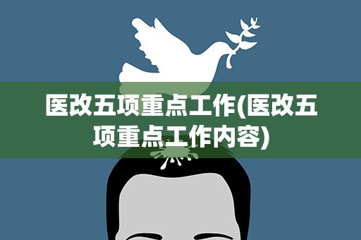 医改五项重点工作(医改五项重点工作内容)