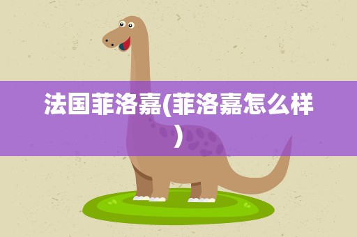 法国菲洛嘉(菲洛嘉怎么样)