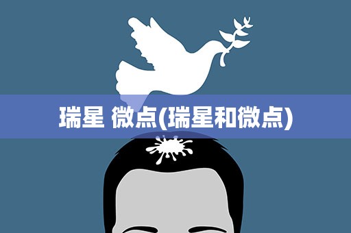 瑞星 微点(瑞星和微点)