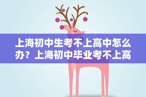 上海初中生考不上高中怎么办？上海初中毕业考不上高中怎么办