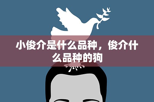 小俊介是什么品种，俊介什么品种的狗