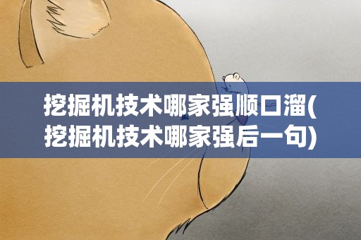 挖掘机技术哪家强顺口溜(挖掘机技术哪家强后一句)