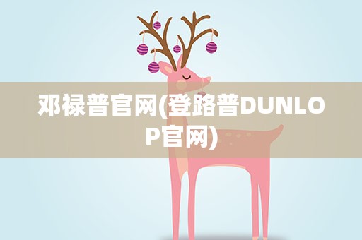 邓禄普官网(登路普DUNLOP官网)