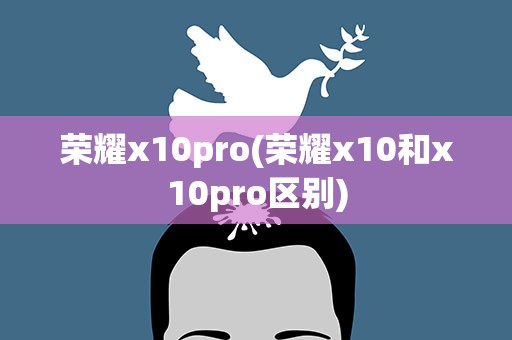 荣耀x10pro(荣耀x10和x10pro区别)
