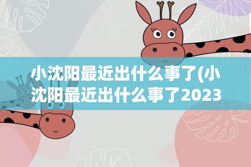 小沈阳最近出什么事了(小沈阳最近出什么事了2023)