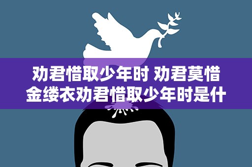 劝君惜取少年时 劝君莫惜金缕衣劝君惜取少年时是什么意思