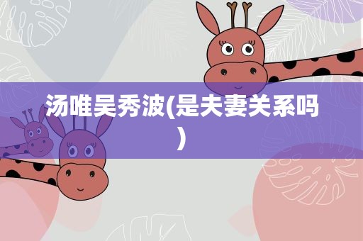 汤唯吴秀波(是夫妻关系吗)