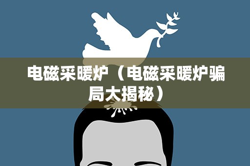 电磁采暖炉（电磁采暖炉骗局大揭秘）