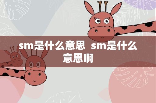 sm是什么意思  sm是什么意思啊