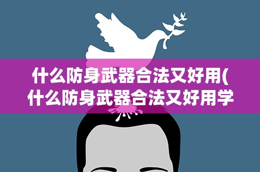 什么防身武器合法又好用(什么防身武器合法又好用学生)