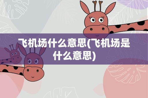 飞机场什么意思(飞机场是什么意思)