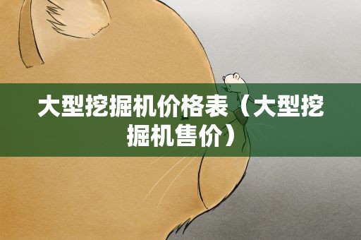 大型挖掘机价格表（大型挖掘机售价）