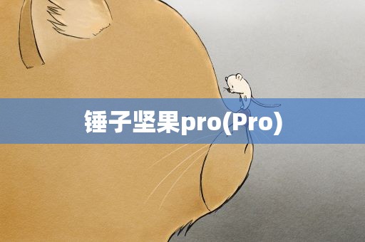 锤子坚果pro(Pro)