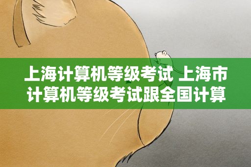 上海计算机等级考试 上海市计算机等级考试跟全国计算机等级考试有什么区别