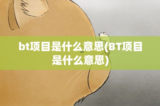bt项目是什么意思(BT项目是什么意思)