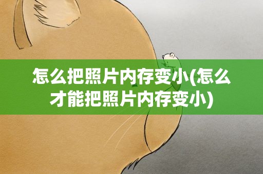 怎么把照片内存变小(怎么才能把照片内存变小)